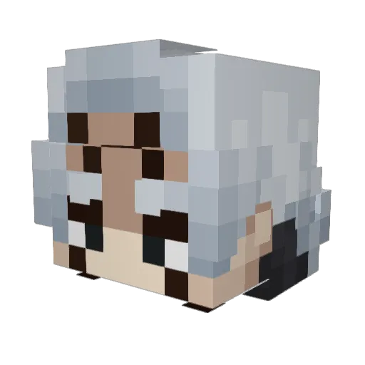 PeanutDragonn Minecraft avatar head, 3D render