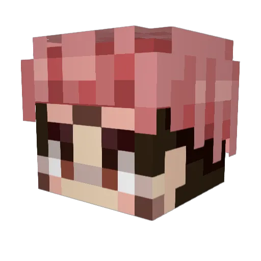 PeanutLord Minecraft avatar head, 3D render