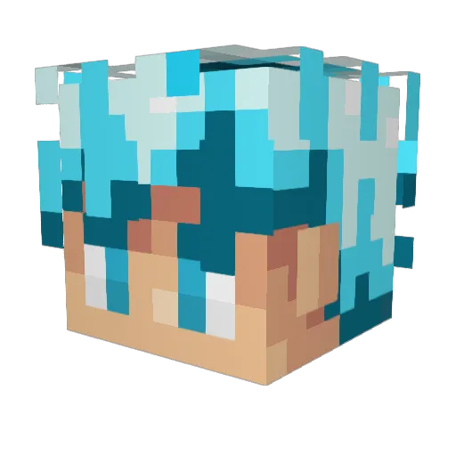 Peanut_Toast Minecraft avatar head, 3D render