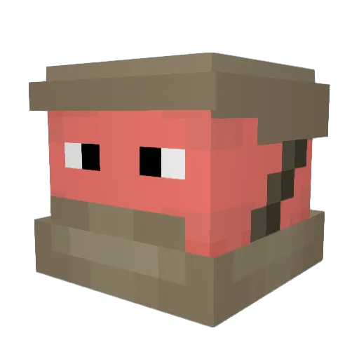 Peanuy2 Minecraft avatar head, 3D render
