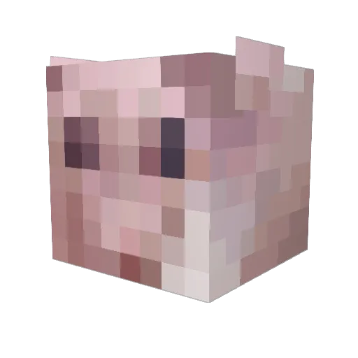 Peasant0 Minecraft avatar head, 3D render