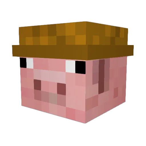 Peasant__ Minecraft avatar head, 3D render