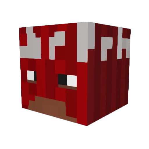 PeaterPeter Minecraft avatar head, 3D render