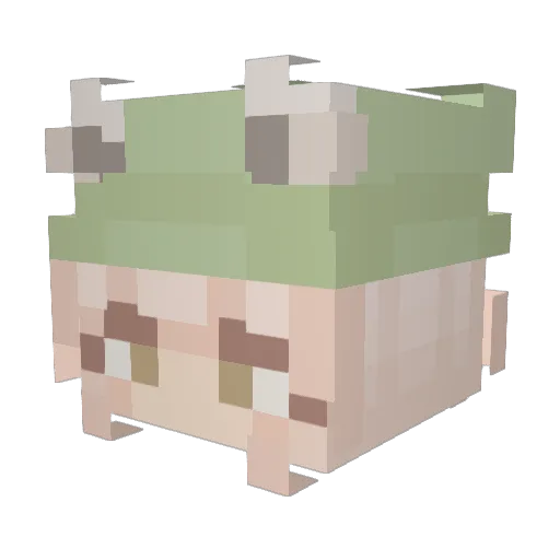Peaves14 Minecraft avatar head, 3D render