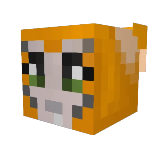 Peaves Minecraft avatar head, 3D render