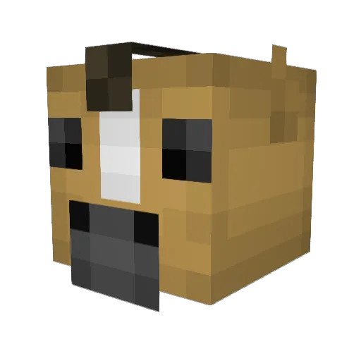 PebbleBoyo Minecraft avatar head, 3D render