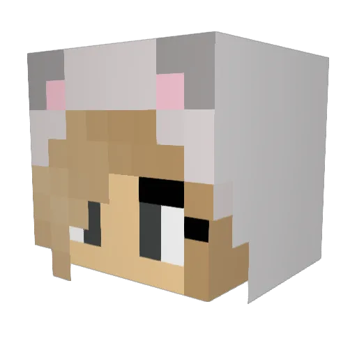 PebblesPaw Minecraft avatar head, 3D render