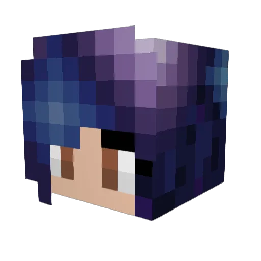Pebblesthebeagle Minecraft avatar head, 3D render