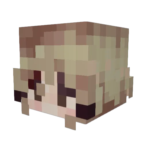 PebblexX Minecraft avatar head, 3D render