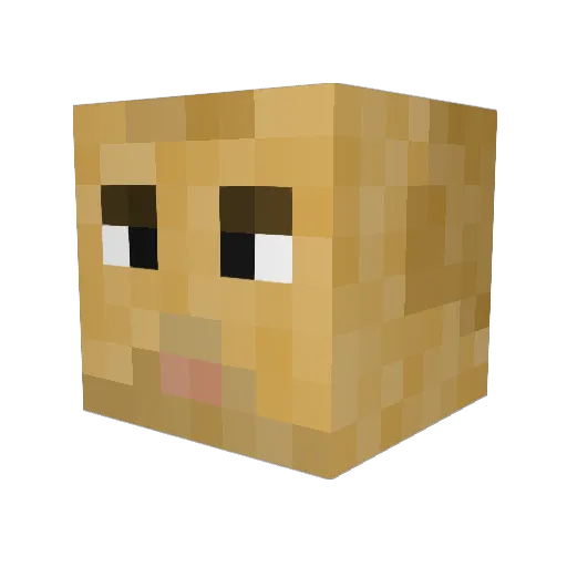 Pecanolito Minecraft avatar head, 3D render