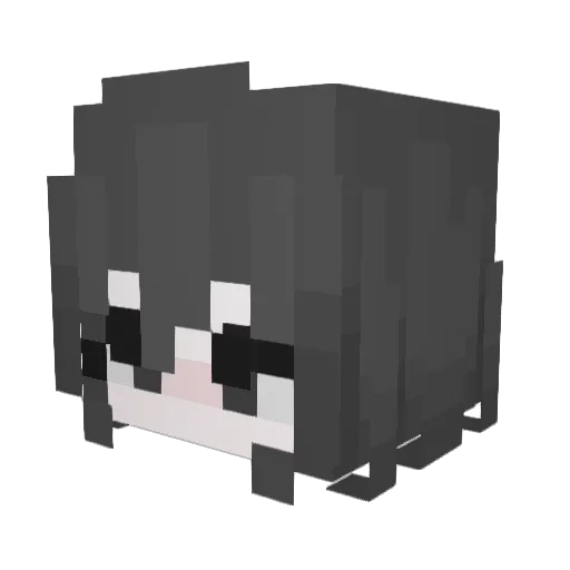 Pechemenka Minecraft avatar head, 3D render