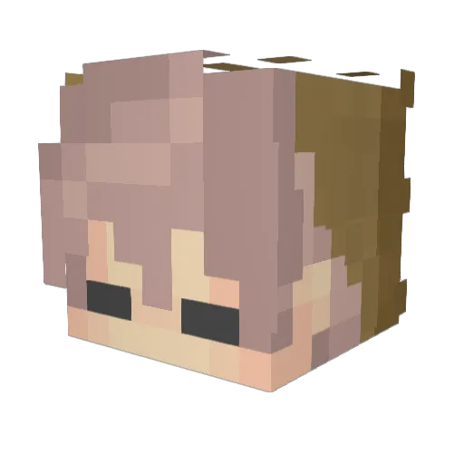 Pechenka422 Minecraft avatar head, 3D render
