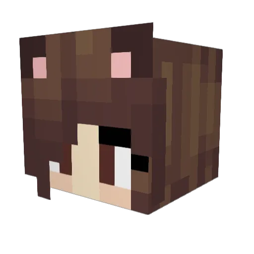 Pechenka_Tipo Minecraft avatar head, 3D render