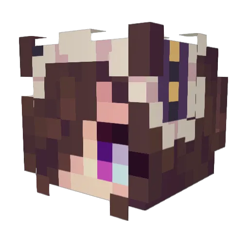 Peconino2211 Minecraft avatar head, 3D render