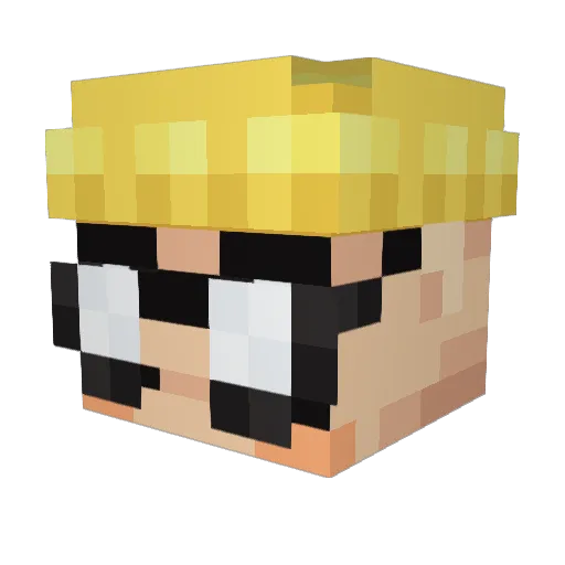 Pectoral1227 Minecraft avatar head, 3D render