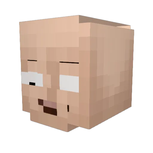 Pectoris Minecraft avatar head, 3D render