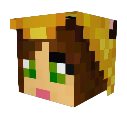 Pedghi Minecraft avatar head, 3D render