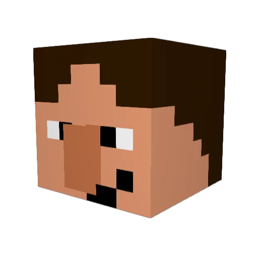 PedoBear_67 Minecraft avatar head, 3D render