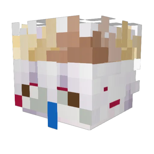 Pedraza1344 Minecraft avatar head, 3D render