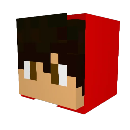 Pedrin070 Minecraft avatar head, 3D render