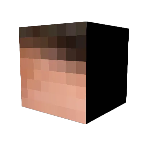 Pedrinhovx Minecraft avatar head, 3D render