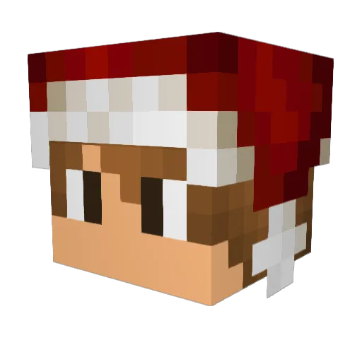 PedroBHgamer Minecraft avatar head, 3D render