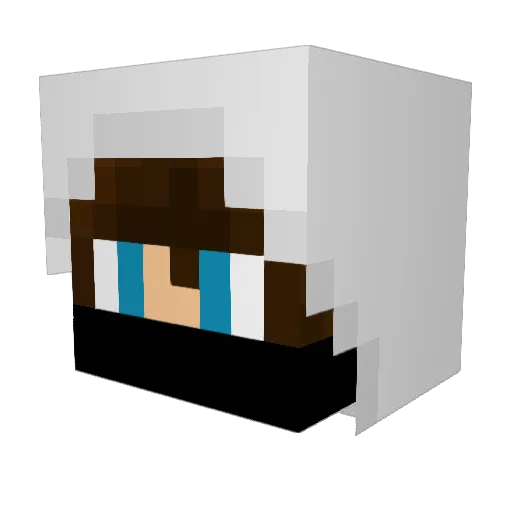 PedroFe Minecraft avatar head, 3D render