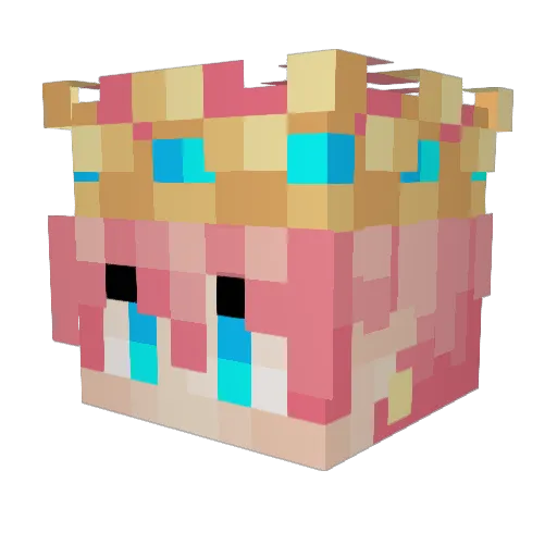 PedroFilipe17_ Minecraft avatar head, 3D render