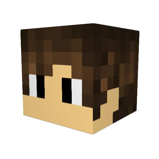 PedroGamerr1 Minecraft avatar head, 3D render
