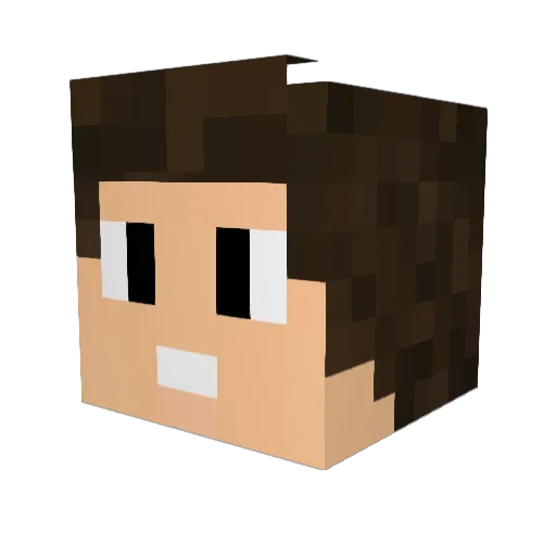PedroHS Minecraft avatar head, 3D render