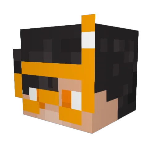PedroLeZigoto Minecraft avatar head, 3D render