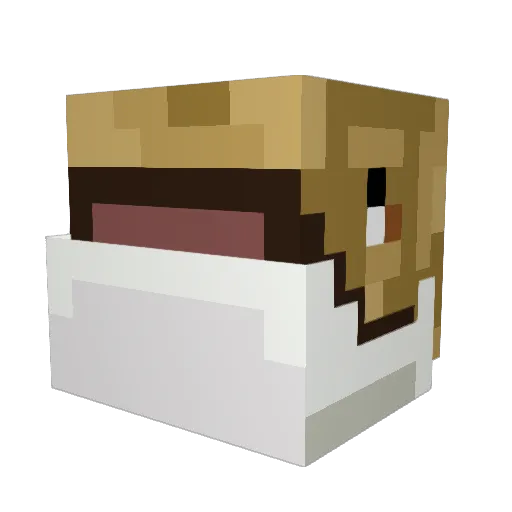 PedroMBaa Minecraft avatar head, 3D render