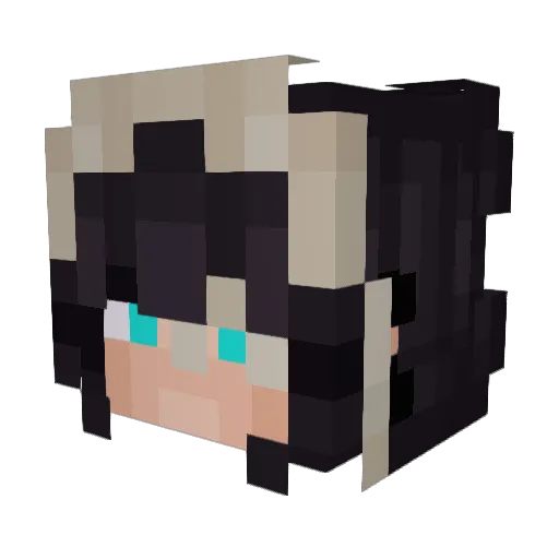 PedroMacedonico Minecraft avatar head, 3D render