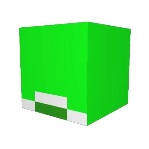 PedroNorte Minecraft avatar head, 3D render