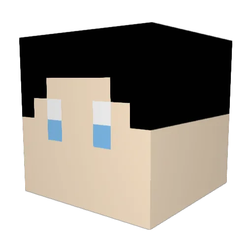 PedroPHHI Minecraft avatar head, 3D render