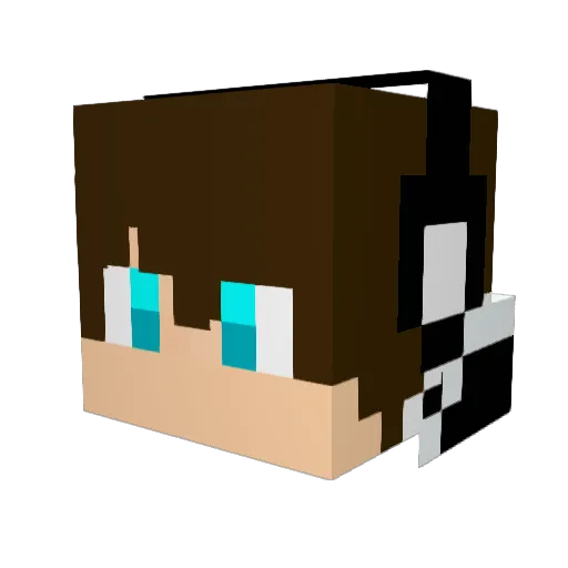 Pedro_Guilherme Minecraft avatar head, 3D render