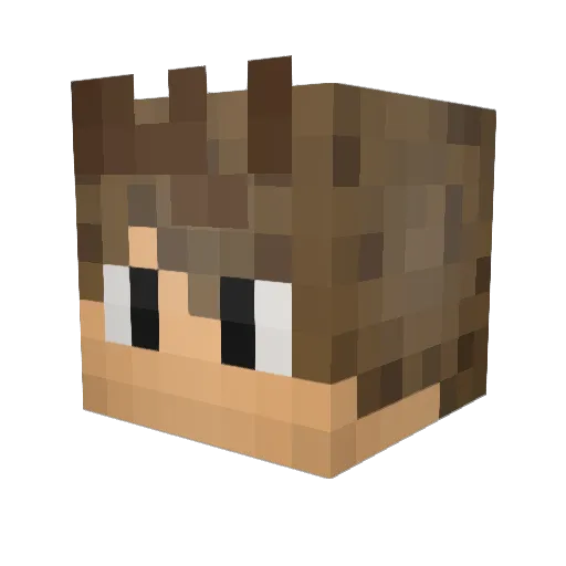Pedro_Leal11 Minecraft avatar head, 3D render