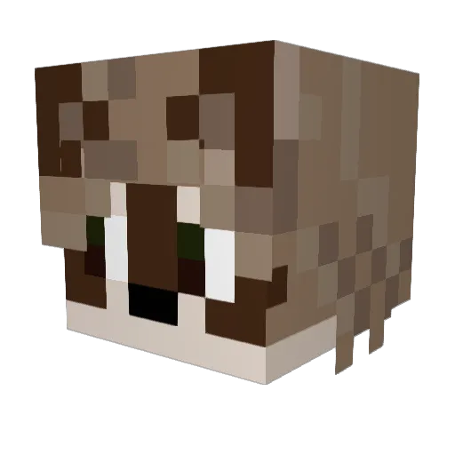 Pedro__TM Minecraft avatar head, 3D render