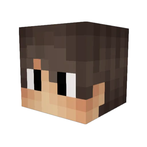 Pedrobr007 Minecraft avatar head, 3D render