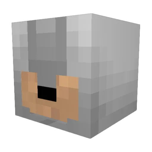 Pedrokpo99 Minecraft avatar head, 3D render