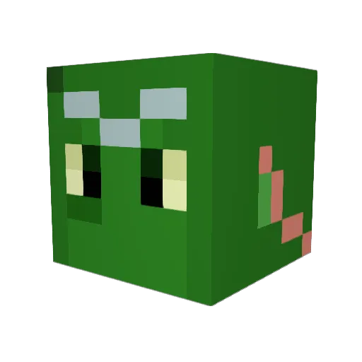 Pedrolitta13 Minecraft avatar head, 3D render