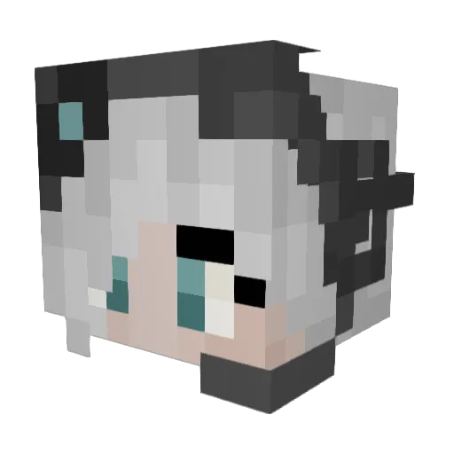 Pedromax2222 Minecraft avatar head, 3D render