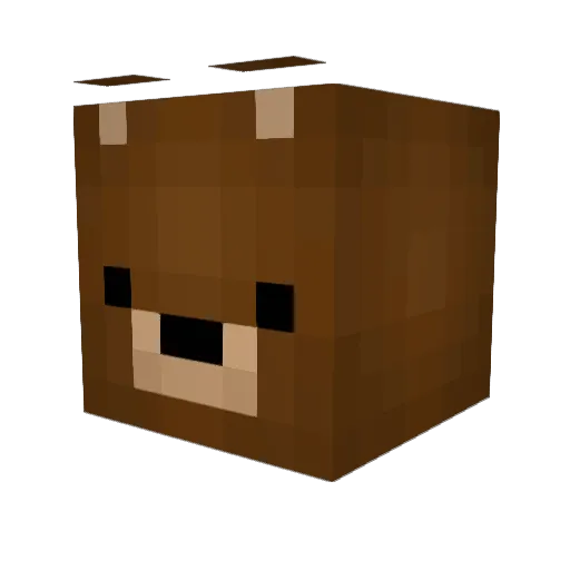 Pedron69 Minecraft avatar head, 3D render