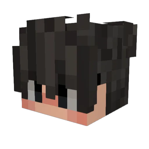 PedrosaFps Minecraft avatar head, 3D render