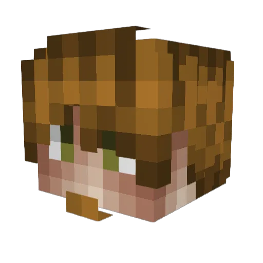 Pedrowka Minecraft avatar head, 3D render