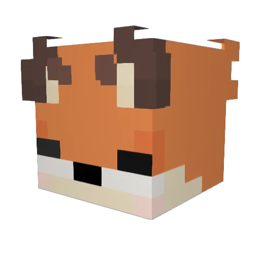 Pedrun Minecraft avatar head, 3D render
