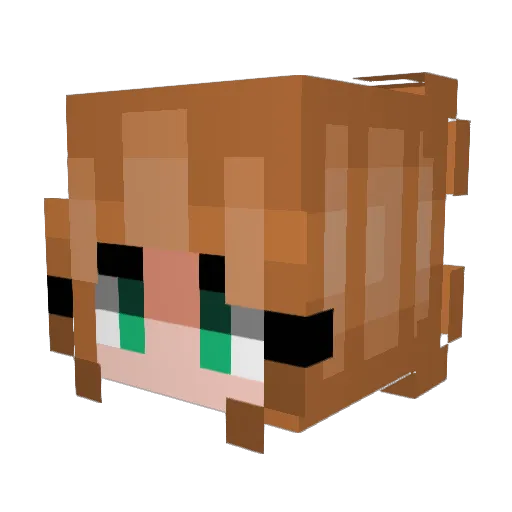 PeeTwoNifty Minecraft avatar head, 3D render