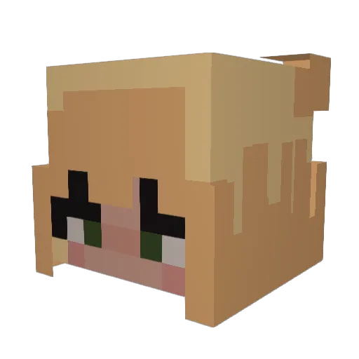 Peekaboo7 Minecraft avatar head, 3D render