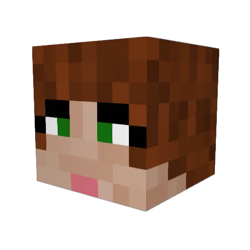 Peeking_Penguin Minecraft avatar head, 3D render
