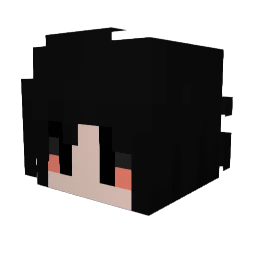 PeelingFl3sh Minecraft avatar head, 3D render